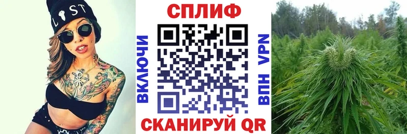 Как найти закладки Цивильск Бошки Шишки Кокаин Гашиш Мефедрон