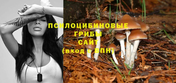ешки Алзамай