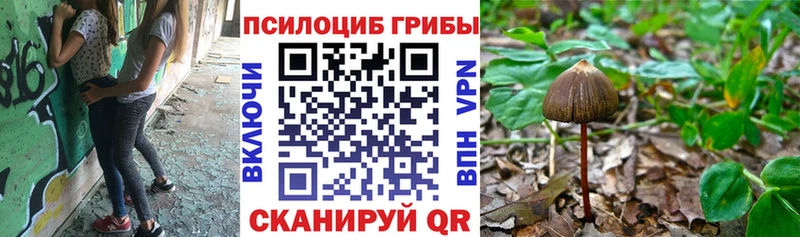 Псилоцибиновые грибы мицелий Цивильск